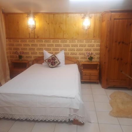 Apartament Pe Malul Raului Bega Timisoara Luaran gambar