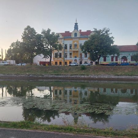 Apartament Pe Malul Raului Bega Timisoara Luaran gambar