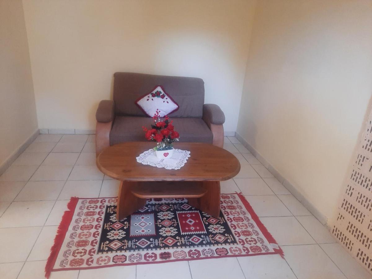 Apartament Pe Malul Raului Bega Timisoara Luaran gambar