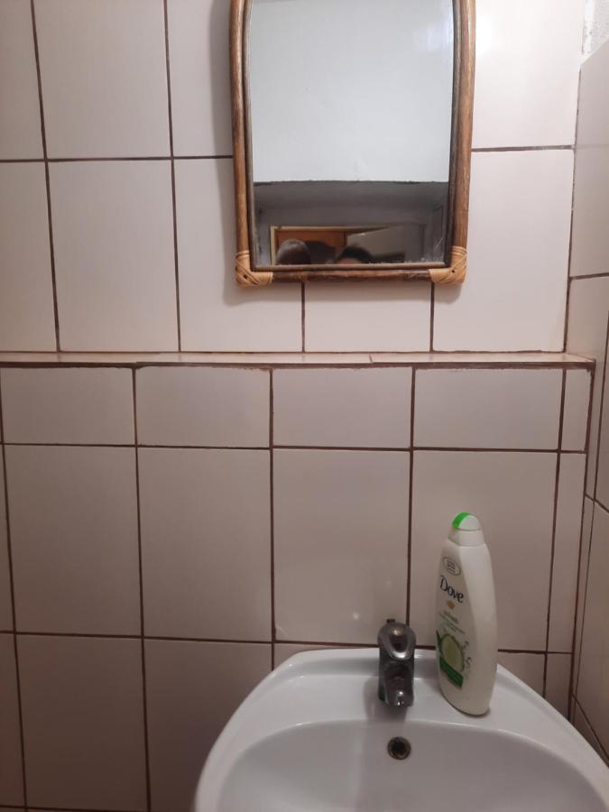 Apartament Pe Malul Raului Bega Timisoara Luaran gambar